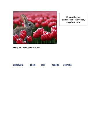 El conill gris,
                                              les roselles vermelles,
                                                   és primavera




Autor: Andrews Kwabena Sah




primavera       conill       gris   rosella    vermella
 