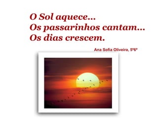 O Sol aquece…
Os passarinhos cantam…
Os dias crescem.
            Ana Sofia Oliveira, 5º6ª
 