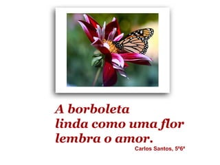 A borboleta
linda como uma flor
lembra o amor.
           Carlos Santos, 5º6ª
 