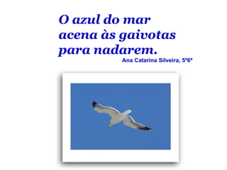 O azul do mar
acena às gaivotas
para nadarem.
         Ana Catarina Silveira, 5º6ª
 