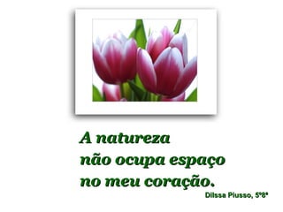 A natureza
não ocupa espaço
no meu coração.
             Dilssa Piusso, 5º8ª
 