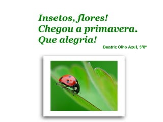 Insetos, flores!
Chegou a primavera.
Que alegria!
            Beatriz Olho Azul, 5º8ª
 