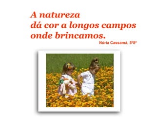 A natureza
dá cor a longos campos
onde brincamos.
              Núria Cassamá, 5º8ª
 