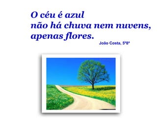 O céu é azul
não há chuva nem nuvens,
apenas flores.
             João Costa, 5º8ª
 
