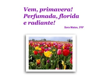Vem, primavera!
Perfumada, florida
e radiante!
             Sara Matos, 5º8ª
 