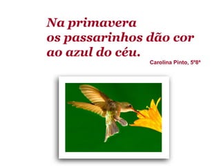 Na primavera
os passarinhos dão cor
ao azul do céu.
               Carolina Pinto, 5º8ª
 