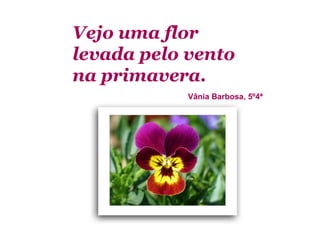 Vejo uma flor
levada pelo vento
na primavera.
            Vânia Barbosa, 5º4ª
 