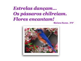 Estrelas dançam…
Os pássaros chilreiam.
Flores encantam!
                Mariana Nunes , 5º4ª
 
