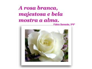 A rosa branca,
majestosa e bela
mostra a alma.
            Fábio Semedo, 5º6ª
 