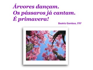 Árvores dançam.
Os pássaros já cantam.
É primavera!
               Beatriz Gamboa, 5º6ª
 