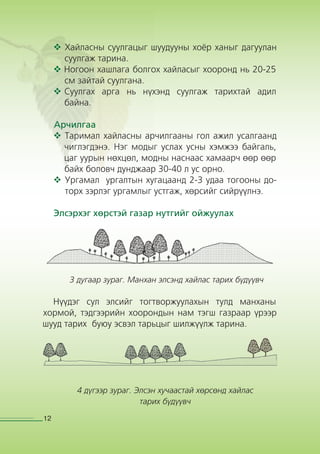 Хайлаас тарьж ургуулах гарын авлага