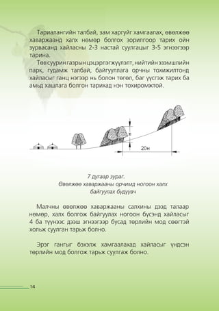 Хайлаас тарьж ургуулах гарын авлага