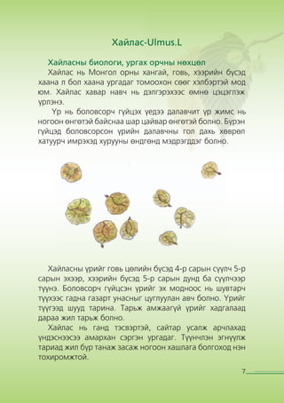 Хайлаас тарьж ургуулах гарын авлага