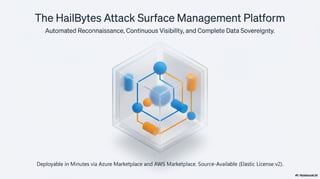 HailBytes ASM Platform: Enterprise Attack Surface Management with ...