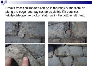 Breaks from hail impacts can be in the body of the slate or
along the edge, but may not be as visible if it does not
totally dislodge the broken slate, as in the bottom left photo.
 