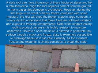 A slate roof can have thousands of these fractured slates and beA slate roof can have thousands of these fractured slates and be
a total loss even tough the roof appears normal from the ground.a total loss even tough the roof appears normal from the ground.
In many cases this damage is overlooked. However, during theIn many cases this damage is overlooked. However, during the
first large wind event or heavy freeze combined with somefirst large wind event or heavy freeze combined with some
moisture, the roof will shed the broken slate in large numbers. Itmoisture, the roof will shed the broken slate in large numbers. It
is important to understand that these fractures will hold moistureis important to understand that these fractures will hold moisture
and expand in freezing temperatures. Slate is the longest lastingand expand in freezing temperatures. Slate is the longest lasting
roofing product because it is highly resistant to moistureroofing product because it is highly resistant to moisture
absorption. However, once moisture is allowed to penetrate theabsorption. However, once moisture is allowed to penetrate the
surface though a crack and freeze, slate is extremely susceptiblesurface though a crack and freeze, slate is extremely susceptible
to breakage because it has zero elasticity. As the moistureto breakage because it has zero elasticity. As the moisture
freezes and expands, it simply continues to break the slate.freezes and expands, it simply continues to break the slate.
 