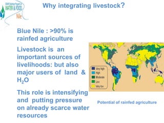 Principles and practices to integrate livestock into rainwater management: an example from the Blue Nile Basin