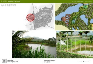 40
Hainan Eco. Resort
规划设计 Master Planning
IBI Group
www.ibigroup.com June, 2010
水上生态度假别墅
水上生态度假别墅 Eco-resort
 