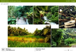 54
Hainan Eco. Resort
June, 2010
IBI Group
www.ibigroup.com
意向图片 Images景观设计意向 Landscape Design
原生态景观
 