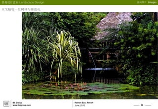 58
Hainan Eco. Resort
June, 2010
IBI Group
www.ibigroup.com
意向图片 Images
水生植物--红树林与睡莲花
景观设计意向 Landscape Design
 