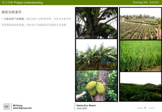 7
Hainan Eco. Resort
项目理解 Project Understanding Existing Site 场地现状
IBI Group
www.ibigroup.com June, 2010
现状自然条件
• 丰富的农产品资源：场区内农产品种类多样，可作为未来开发
的重要旅游体验资源，同时也可为场地内居民提供生活来源
 