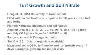Turf Growth and Soil Nitrate
• Geng et. al. 2014 University of Connecticut
• Field with no fertilization or irrigation for 20 years mixed turf
and forbs
• Planted Kentucky bluegrass and tall fescue
• Applied urea at 0, 5, 10, 20, 30, 40, 50, 75, and 100 kg N/ha
monthly (50 kg/ha = 5 g/m2 = 1 lb/1000 sq ft)
• Sandy loam soil 6.3% organic matter
• Soil C:N 2.5:1 (lots of organic N available)
• Measured soil NO3-N, turf quality and turf growth every 14
days during the growing season for 3 yrs
 