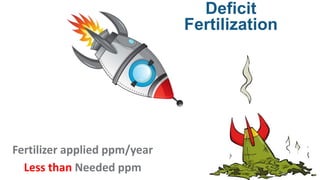 Deficit
Fertilization
Fertilizer applied ppm/year
Less than Needed ppm
 