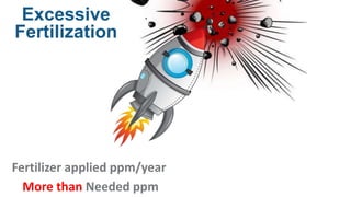 Excessive
Fertilization
Fertilizer applied ppm/year
More than Needed ppm
 