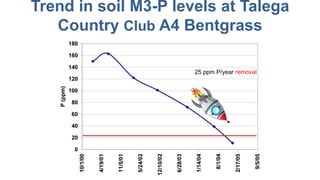 Trend in soil M3-P levels at Talega
Country Club A4 Bentgrass
25 ppm P/year removal
 