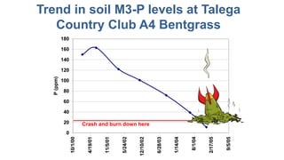 Trend in soil M3-P levels at Talega
Country Club A4 Bentgrass
Crash and burn down here
 