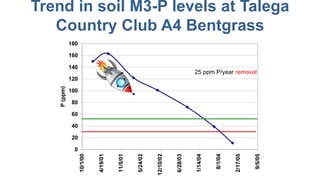 Trend in soil M3-P levels at Talega
Country Club A4 Bentgrass
25 ppm P/year removal
 