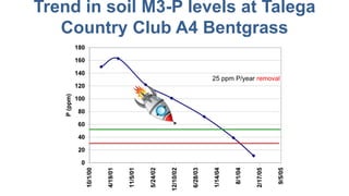 Trend in soil M3-P levels at Talega
Country Club A4 Bentgrass
25 ppm P/year removal
 