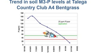 Trend in soil M3-P levels at Talega
Country Club A4 Bentgrass
25 ppm P/year
application
 