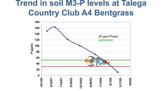 Trend in soil M3-P levels at Talega
Country Club A4 Bentgrass
25 ppm P/year
application
 