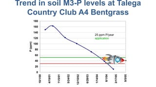 Trend in soil M3-P levels at Talega
Country Club A4 Bentgrass
25 ppm P/year
application
 