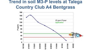 Trend in soil M3-P levels at Talega
Country Club A4 Bentgrass
25 ppm P/year
application
 