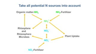 Organic matter-NH2 NH4-Fertilizer
NH4
+
NO3
-
NO2
-
Plant Uptake
Rhizoplane
and
Rhizosphere
Microbes
NO3-Fertilizer
Take all potential N sources into account
 