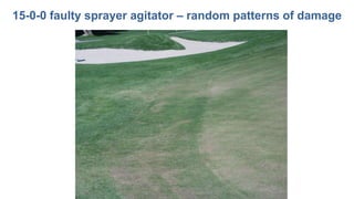 15-0-0 faulty sprayer agitator – random patterns of damage
 