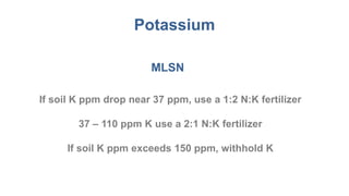 Potassium
MLSN
If soil K ppm drop near 37 ppm, use a 1:2 N:K fertilizer
37 – 110 ppm K use a 2:1 N:K fertilizer
If soil K ppm exceeds 150 ppm, withhold K
 