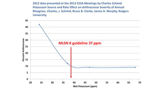 0
5
10
15
20
25
30
35
40
45
20 25 30 35 40 45 50 55 60 65 70
PercentAnthracnose
Mat Potassium (ppm)
2012 data presented at the 2013 CSSA Meetings by Charles Schmid
Potassium Source and Rate Effect on Anthracnose Severity of Annual
Bluegrass. Charles, J. Schmid, Bruce B. Clarke, James A. Murphy, Rutgers
University.
MLSN K guideline 37 ppm
 