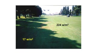 224 w/m2
17 w/m2
 