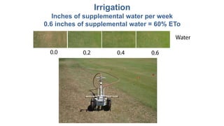 Irrigation
Inches of supplemental water per week
0.6 inches of supplemental water = 60% ETo
 