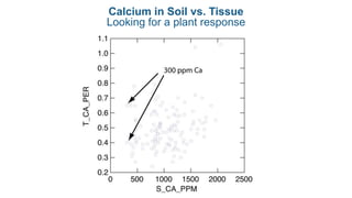 Calcium in Soil vs. Tissue
Looking for a plant response
 