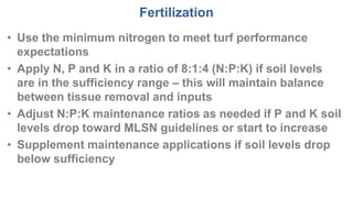 Fertilization
• Use the minimum nitrogen to meet turf performance
expectations
• Apply N, P and K in a ratio of 8:1:4 (N:P:K) if soil levels
are in the sufficiency range – this will maintain balance
between tissue removal and inputs
• Adjust N:P:K maintenance ratios as needed if P and K soil
levels drop toward MLSN guidelines or start to increase
• Supplement maintenance applications if soil levels drop
below sufficiency
 