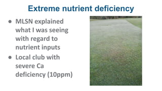 Extreme nutrient deficiency
● MLSN explained
what I was seeing
with regard to
nutrient inputs
● Local club with
severe Ca
deficiency (10ppm)
 