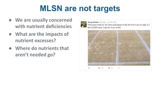 MLSN are not targets
● We are usually concerned
with nutrient deficiencies
● What are the impacts of
nutrient excesses?
● Where do nutrients that
aren’t needed go?
 