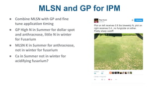 MLSN and GP for IPM
● Combine MLSN with GP and fine
tune application timing
● GP High N in Summer for dollar spot
and anthracnose, little N in winter
for Fusarium
● MLSN K in Summer for anthracnose,
not in winter for fusarium
● Ca in Summer not in winter for
acidifying fusarium?
 