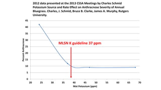 0
5
10
15
20
25
30
35
40
45
20 25 30 35 40 45 50 55 60 65 70
PercentAnthracnose
Mat Potassium (ppm)
2012 data presented at the 2013 CSSA Meetings by Charles Schmid
Potassium Source and Rate Effect on Anthracnose Severity of Annual
Bluegrass. Charles, J. Schmid, Bruce B. Clarke, James A. Murphy, Rutgers
University.
MLSN K guideline 37 ppm
 