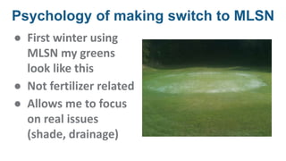 Psychology of making switch to MLSN
● First winter using
MLSN my greens
look like this
● Not fertilizer related
● Allows me to focus
on real issues
(shade, drainage)
 