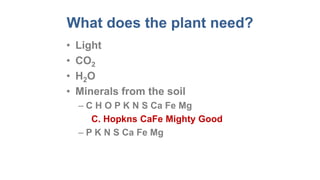What does the plant need?
• Light
• CO2
• H2O
• Minerals from the soil
– C H O P K N S Ca Fe Mg
C. Hopkns CaFe Mighty Good
– P K N S Ca Fe Mg
 